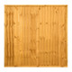 GSCBNH%20Cutout%20Front.jpg.jpeg GSCBNH%20Cutout%20Front.jpg.jpeg